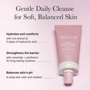 Rosehip Mild PH Balancing Rice Cake Cleanser 150g
