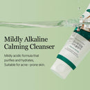 Round Lab Pine Calming Cica Cleanser 5.07 fl. oz. / 150ml