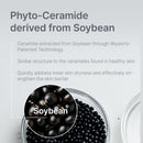 Illiyoon Ceramide Ato Concentrate Cream 200ml / 6.76 fl. oz.