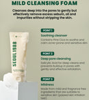 SEOUL 1988 Cleansing Foam : Pine Cica 1% + Probiotics 150ml / 5.07 fl. oz.