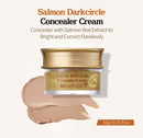 Skinfood Salmon Darkcircle Concealer Cream