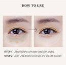 Skinfood Salmon Darkcircle Concealer Cream