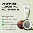 Phytology 17 Perfect Cleansing Foam 150ml