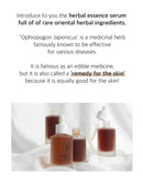 Numbuzin No.8 Glossy Essence Serum 50ml / 1.69 fl. oz.