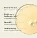 Laboratory Propolis Treatment Ampoule Essence 150ml / 5.07 fl. oz.