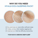 Madagascar Centella Hyalu-Cica Sleeping Pack 1.01 fl. oz. / 30ml