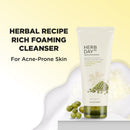 The face shop Herb Day 365 Master Blending Cleansing Foam Mung Bean & Mugwart Face Wash