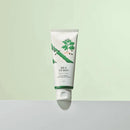Round Lab Mugwort Calming Cleanser 5.07 fl. oz. / 150ml